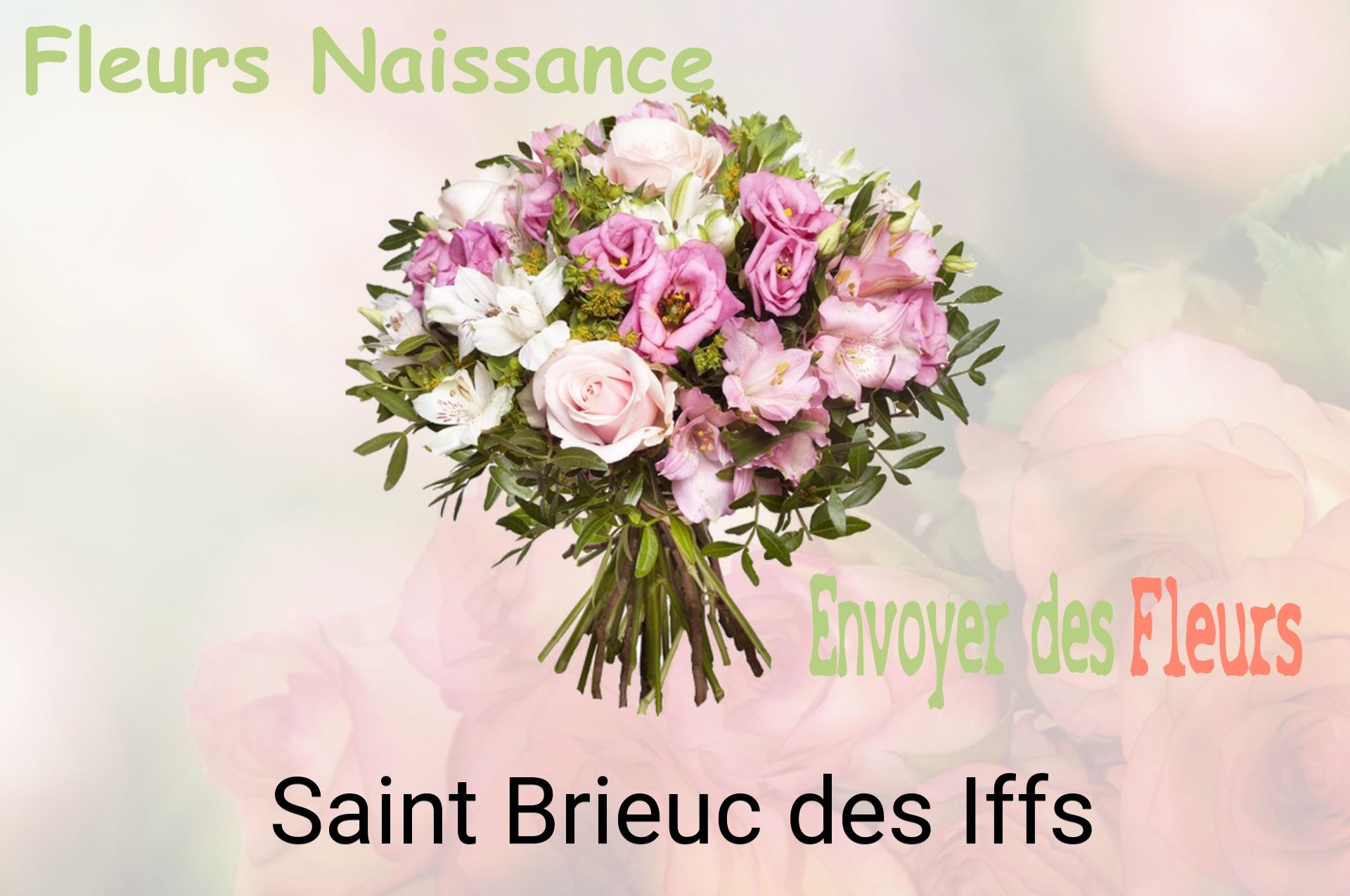 Bouquet de fleurs de naissance livré à Saint-Brieuc-des-Iffs