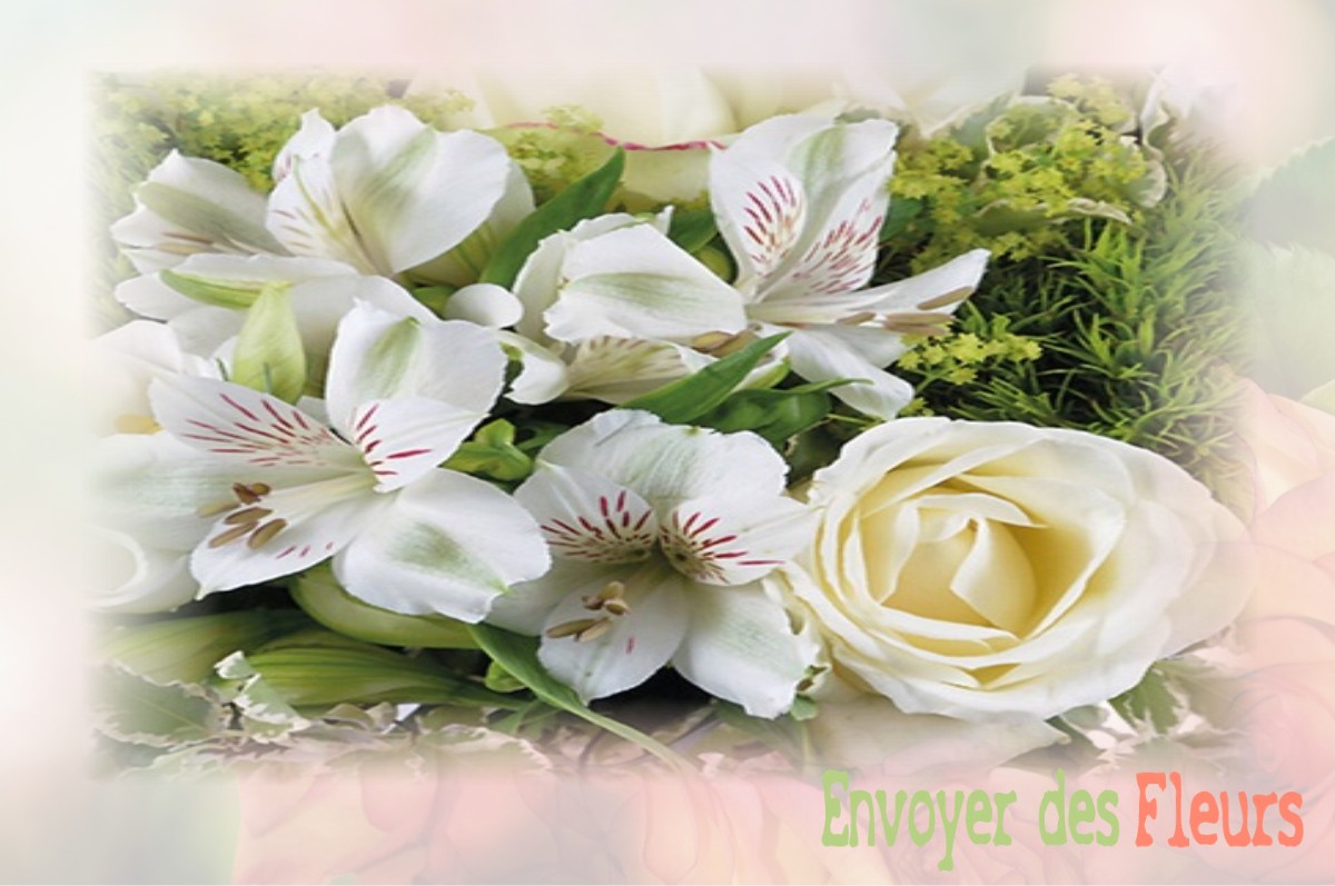 envoyer des fleurs à à SAINT-BRIEUC-DES-IFFS